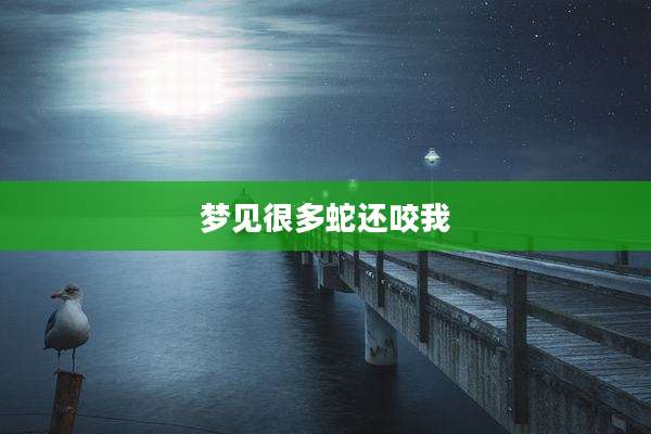 梦见很多蛇还咬我