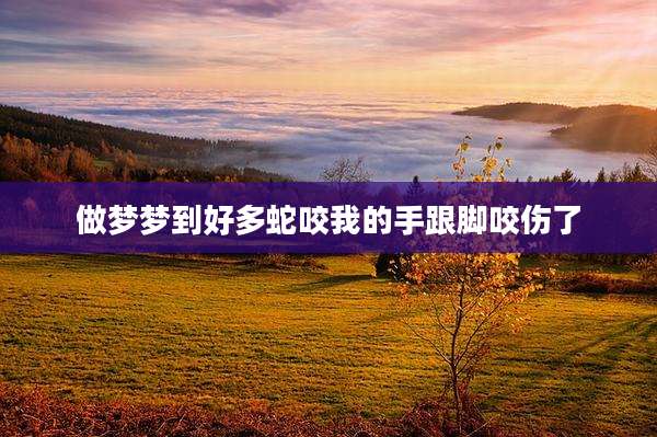 做梦梦到好多蛇咬我的手跟脚咬伤了