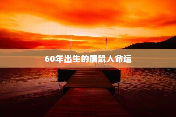 60年出生的属鼠人命运