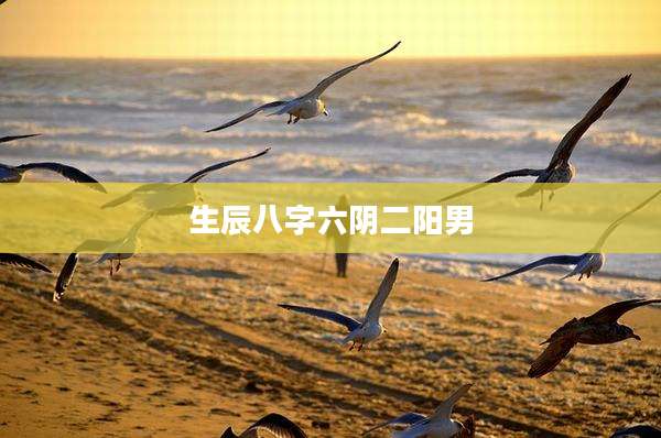 生辰八字六阴二阳男