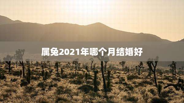 属兔2021年哪个月结婚好