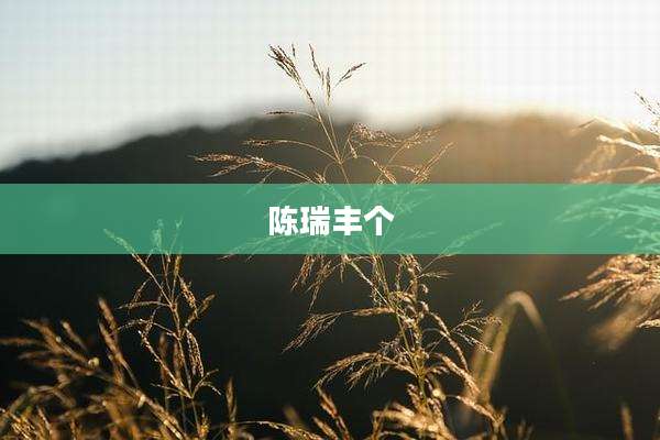陈瑞丰个