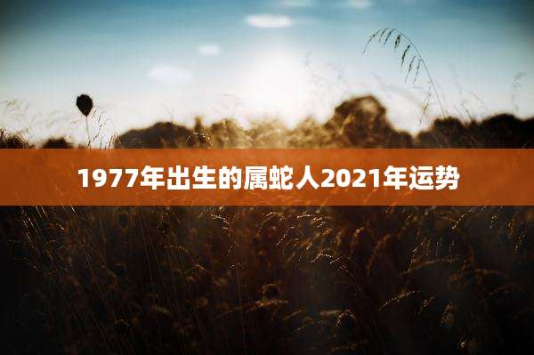 1977年出生的属蛇人2021年运势