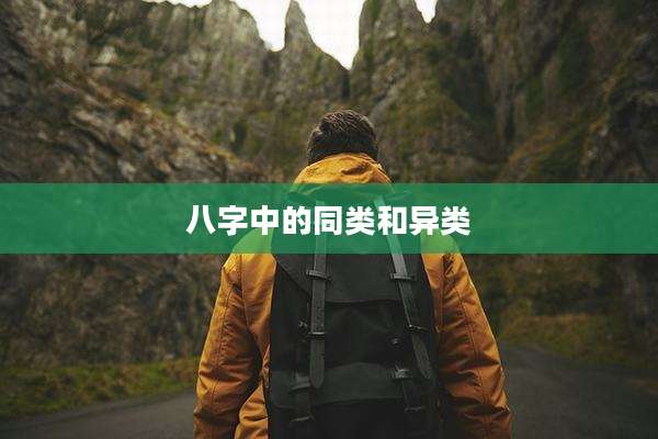 八字中的同类和异类