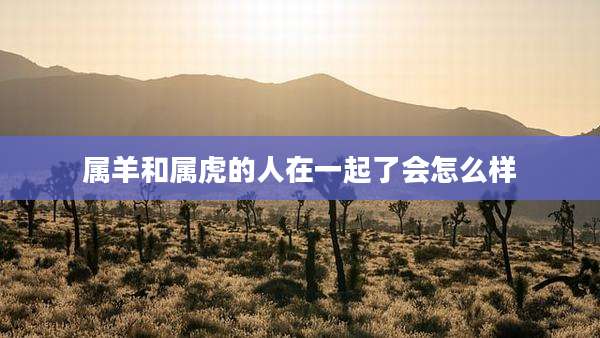 属羊和属虎的人在一起了会怎么样