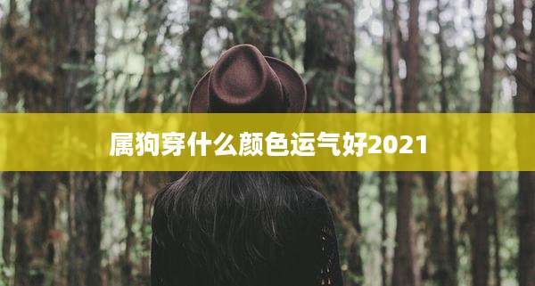 属狗穿什么颜色运气好2021
