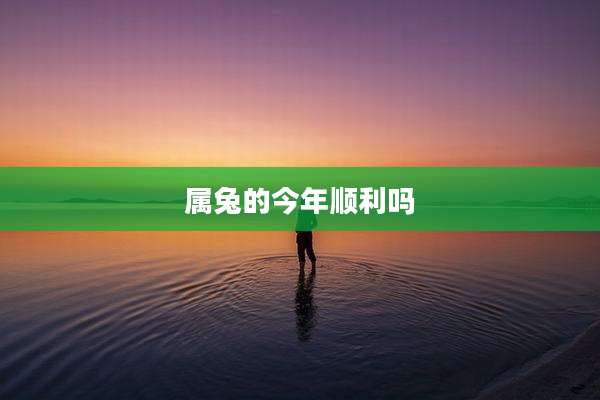 属兔的今年顺利吗