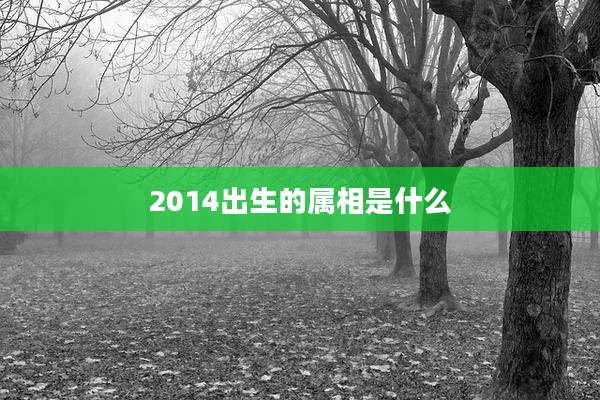 2014出生的属相是什么