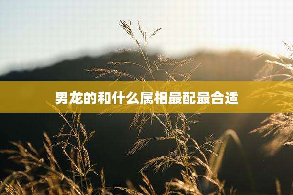 男龙的和什么属相最配最合适