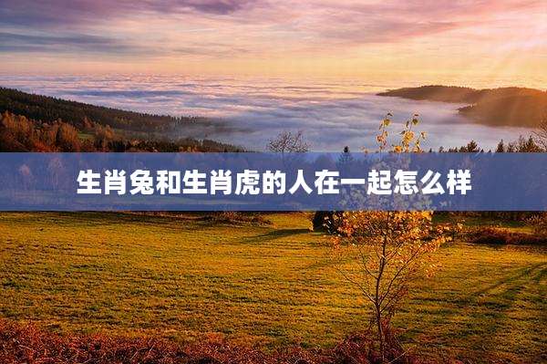 生肖兔和生肖虎的人在一起怎么样
