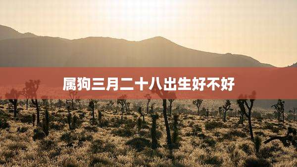 属狗三月二十八出生好不好