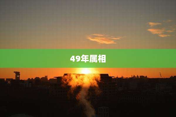 49年属相