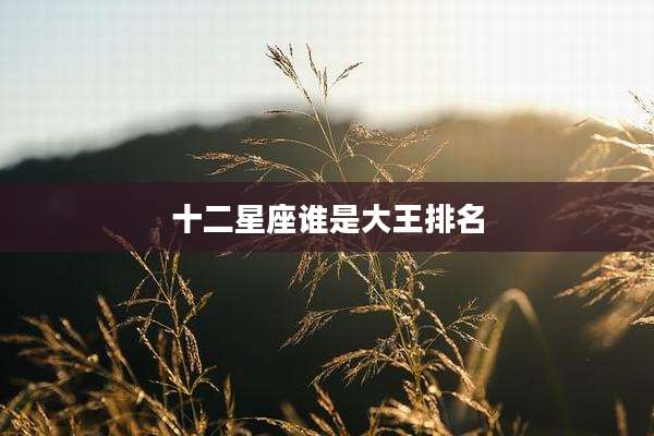 十二星座谁是大王排名
