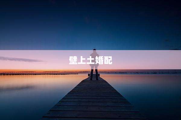 壁上土婚配