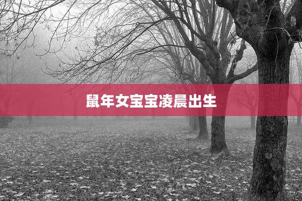 鼠年女宝宝凌晨出生