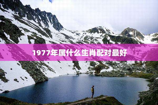 1977年属什么生肖配对最好