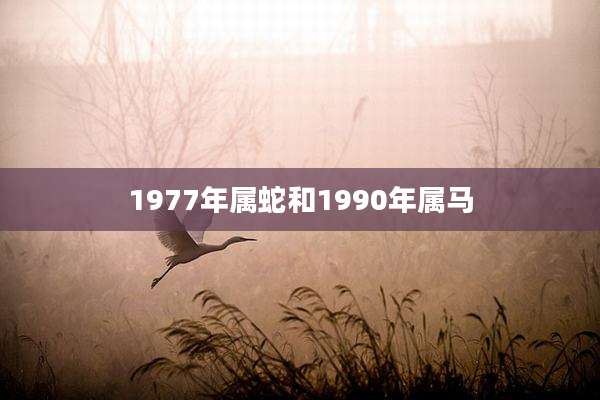 1977年属蛇和1990年属马