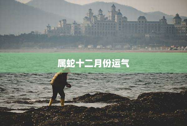 属蛇十二月份运气