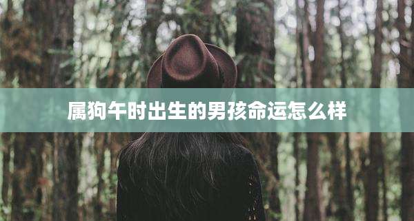 属狗午时出生的男孩命运怎么样