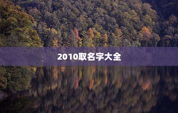 2010取名字大全