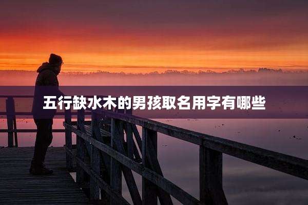 五行缺水木的男孩取名用字有哪些