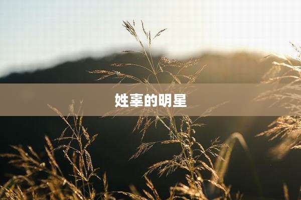 姓辜的明星