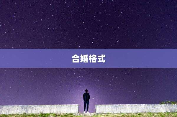 合婚格式