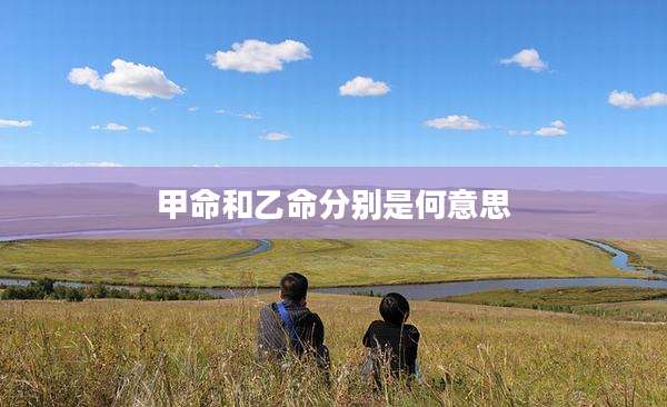 甲命和乙命分别是何意思