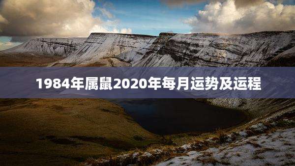 1984年属鼠2020年每月运势及运程