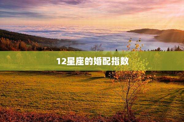 12星座的婚配指数
