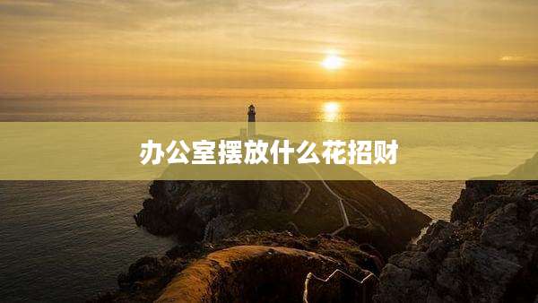 办公室摆放什么花招财