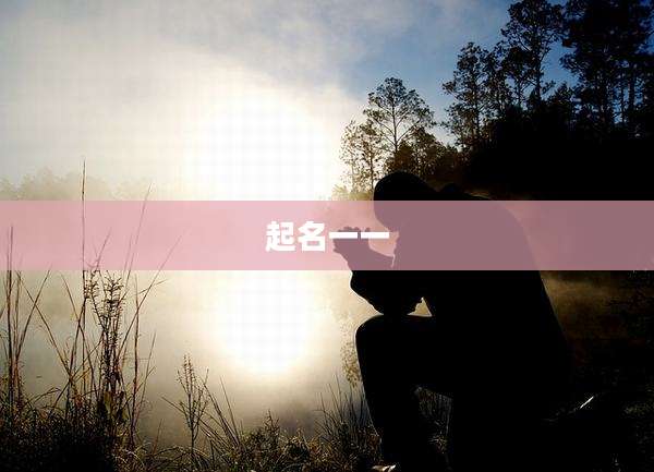 起名一一