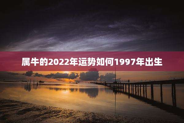属牛的2022年运势如何1997年出生