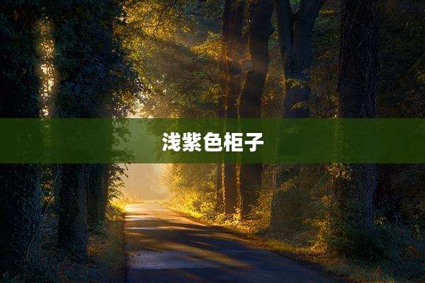 浅紫色柜子