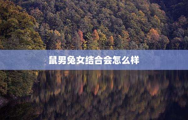 鼠男兔女结合会怎么样