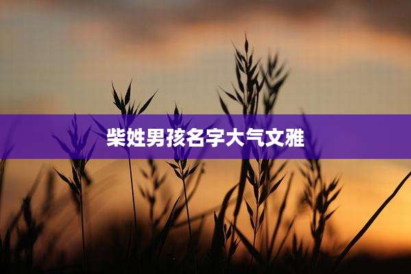 柴姓男孩名字大气文雅