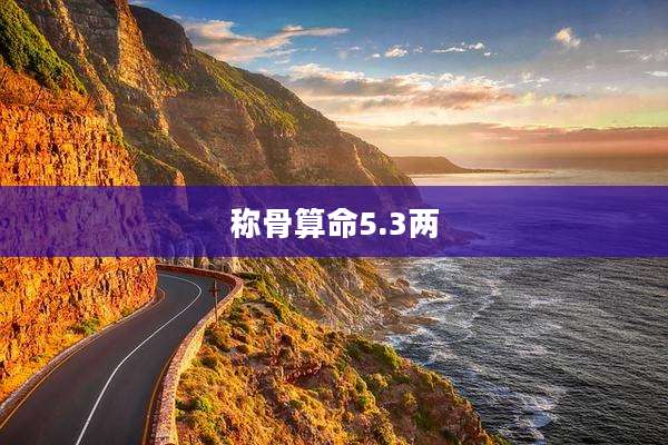 称骨算命5.3两