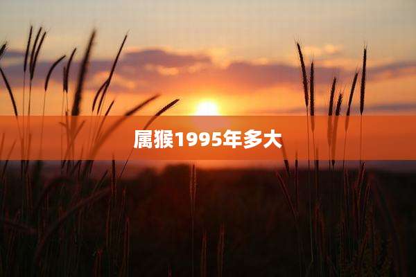 属猴1995年多大