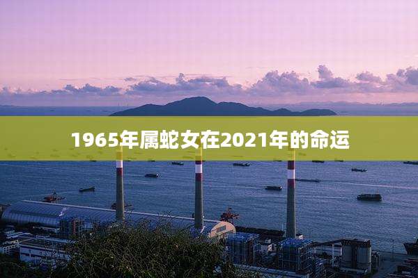 1965年属蛇女在2021年的命运