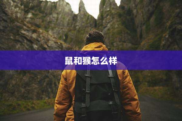 鼠和猴怎么样