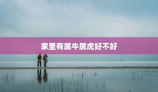家里有属牛属虎好不好