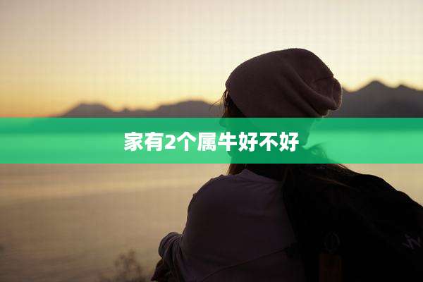 家有2个属牛好不好