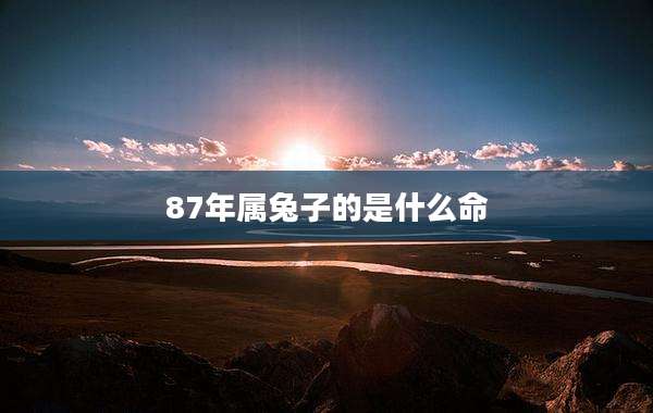 87年属兔子的是什么命