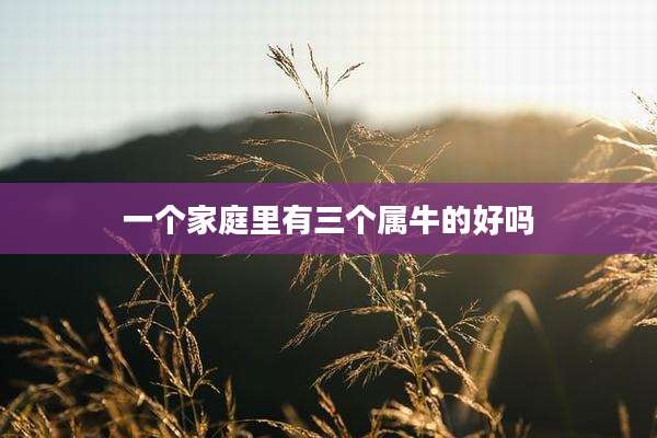 一个家庭里有三个属牛的好吗