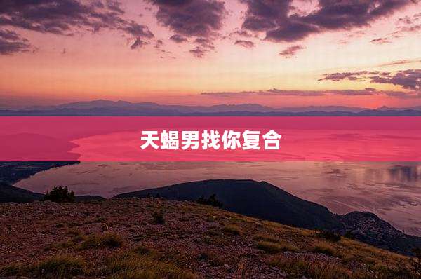 天蝎男找你复合