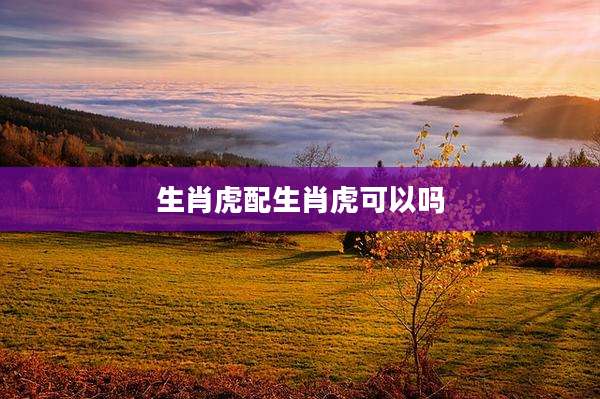 生肖虎配生肖虎可以吗