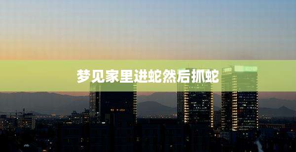 梦见家里进蛇然后抓蛇