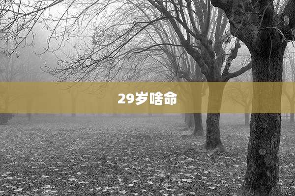 29岁啥命