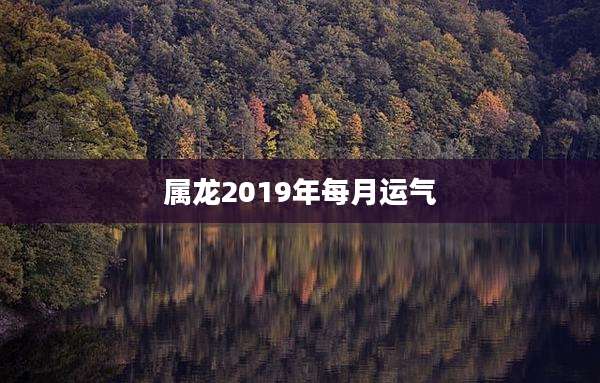 属龙2019年每月运气