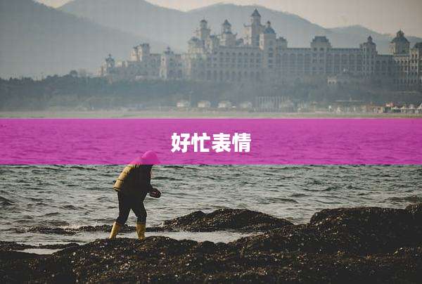 好忙表情